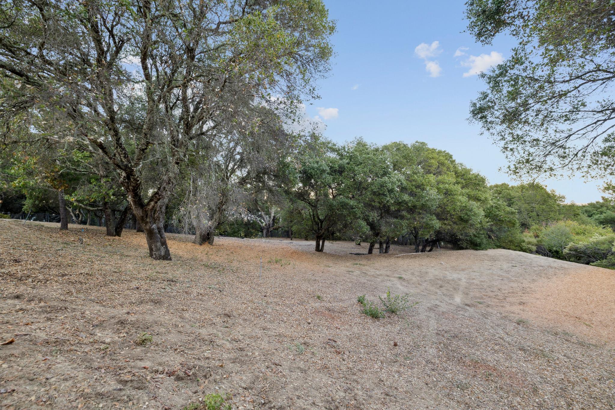 208-6-friars-lane.85146.p4k.097