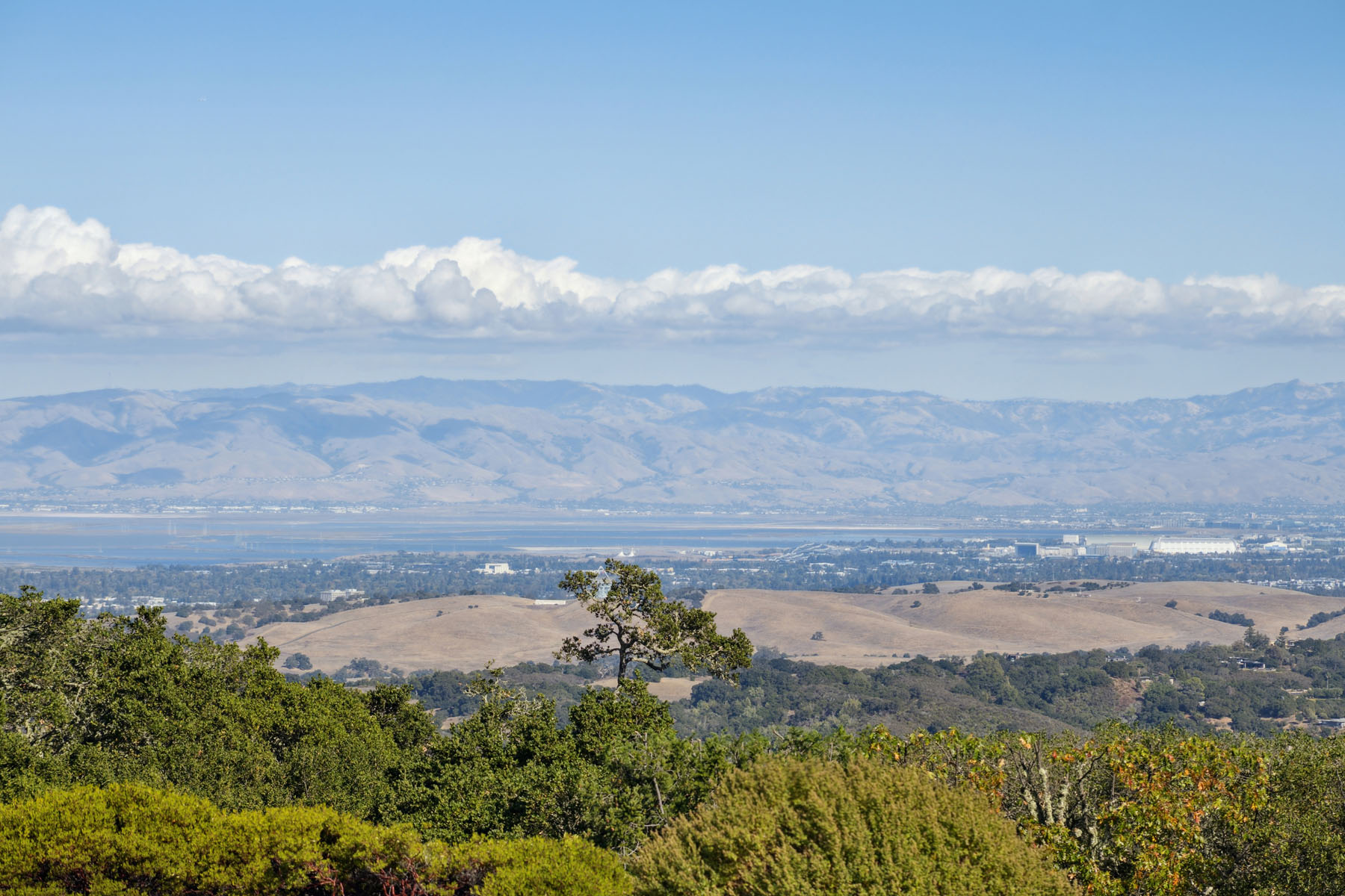 219-6-friars-lane.85146.p4k.103