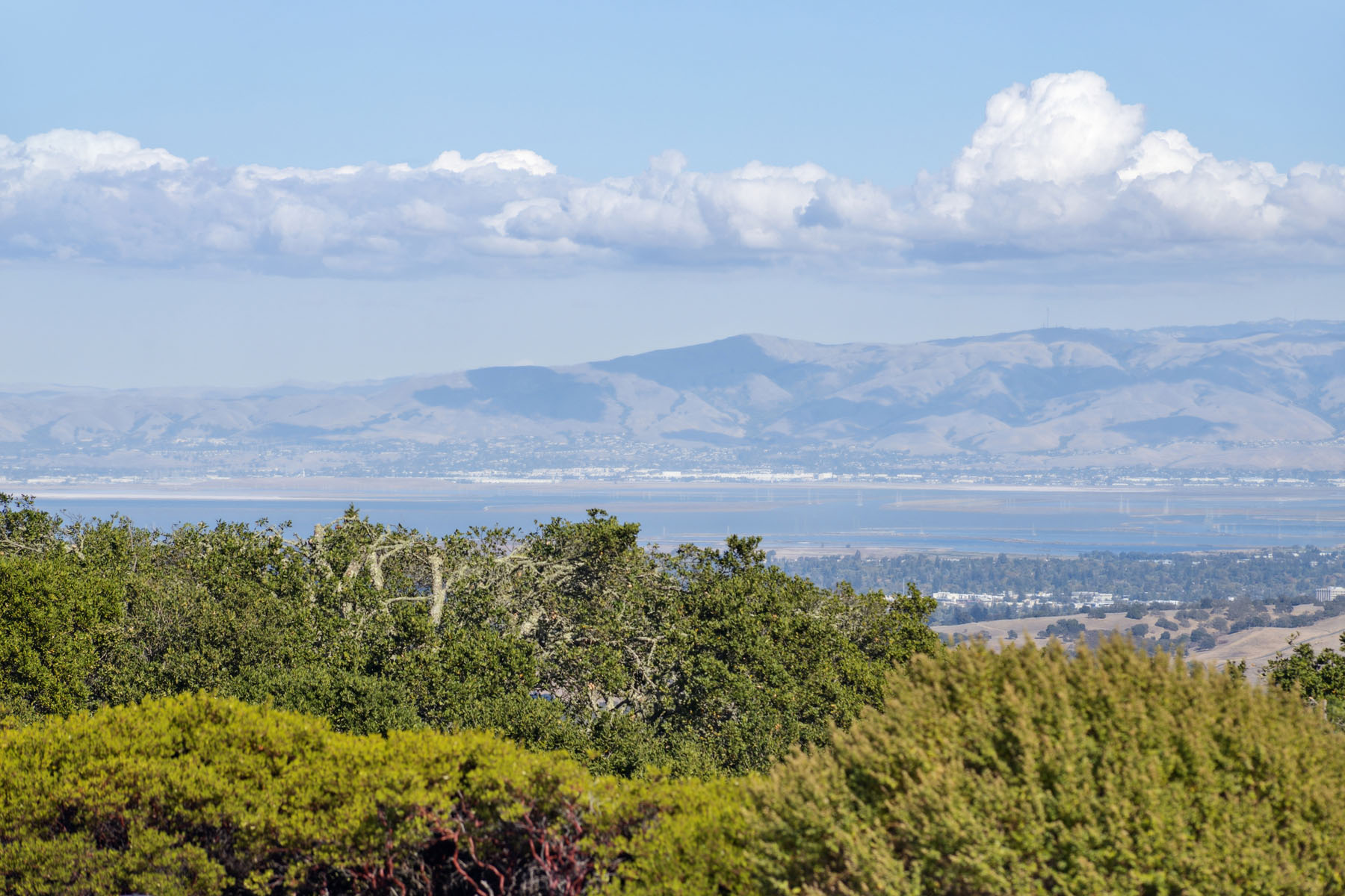 227-6-friars-lane.85146.p4k.107